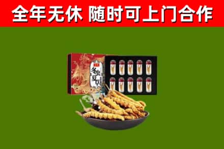 焦作市回收冬虫夏草价格